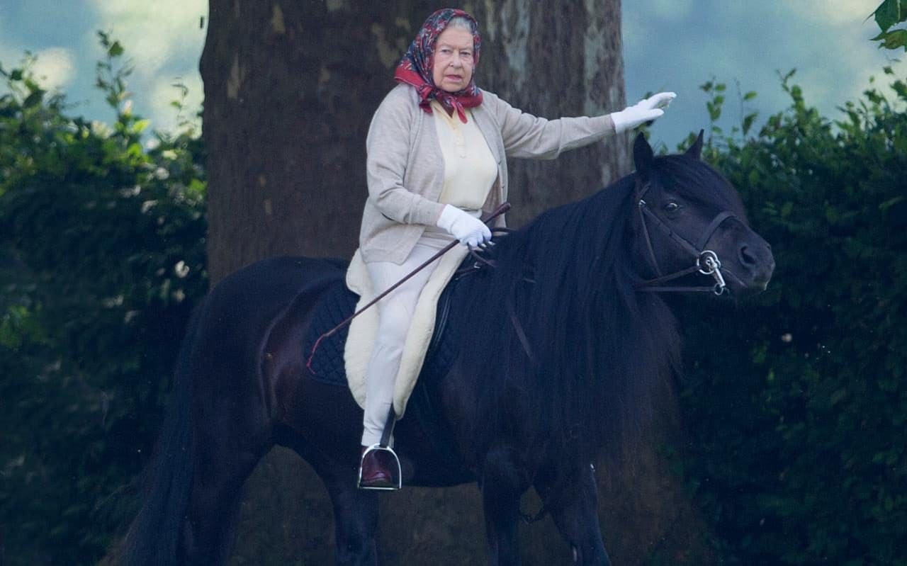 The Queen